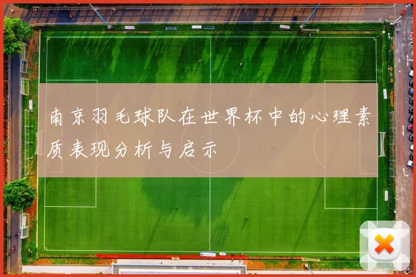 南京羽毛球队在世界杯中的心理素质表现分析与启示
