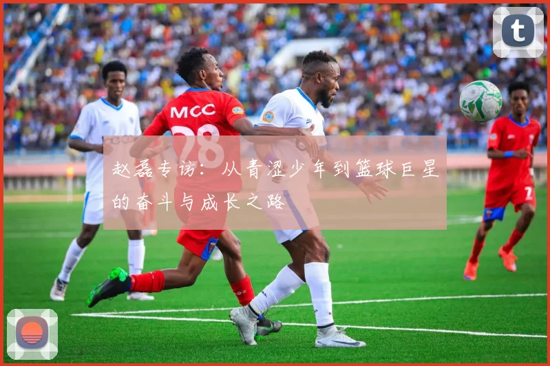 赵磊专访：从青涩少年到篮球巨星的奋斗与成长之路