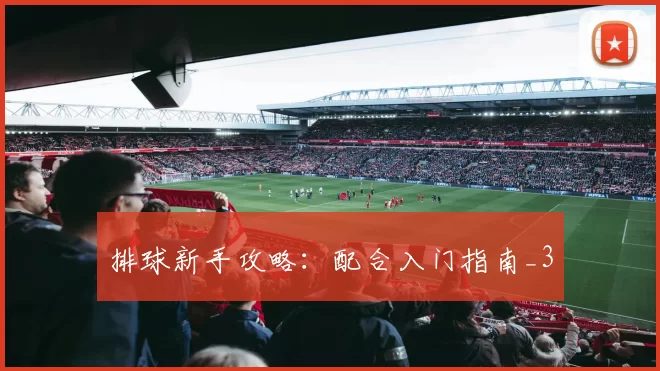 排球新手攻略：配合入门指南_3