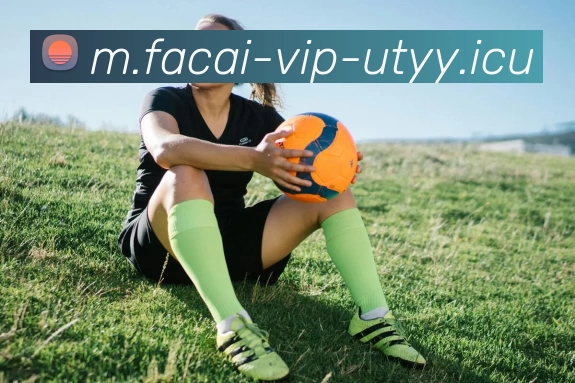 爱游戏体育注册服务体系